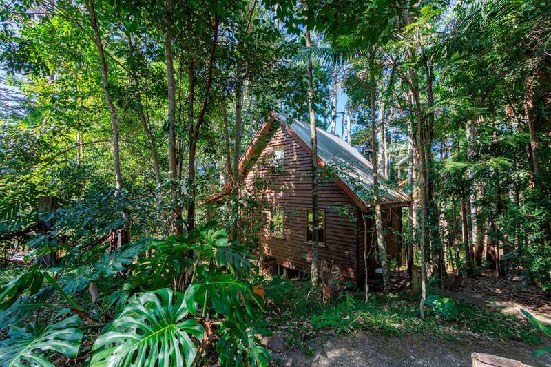 Mount Glorious accommodation cottage in the rainforest