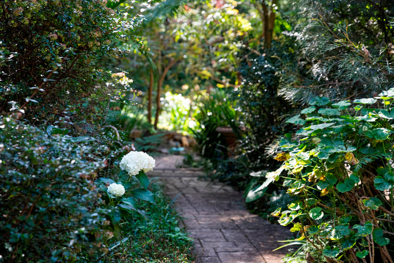 Mount Glorious accommodation with cottage garden path