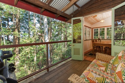 Mount Glorious accommodation veranda overlooking rainforest