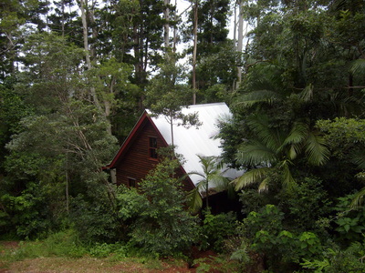 Mount Glorious accommodation in the rainforest